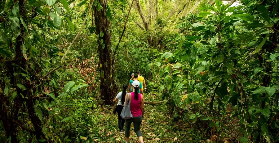 Isla Palenque