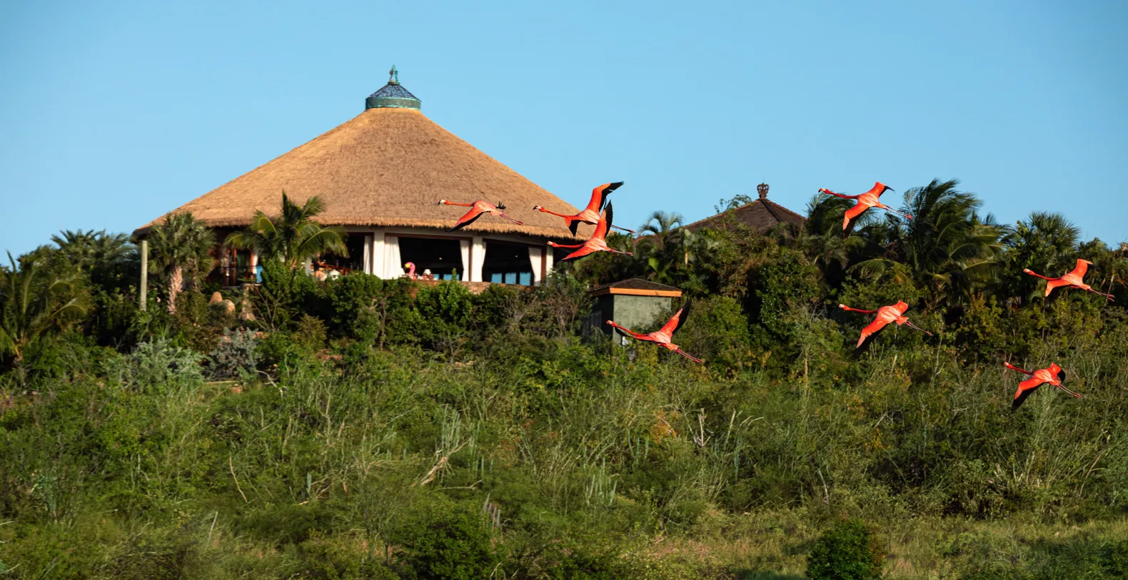 Necker Island